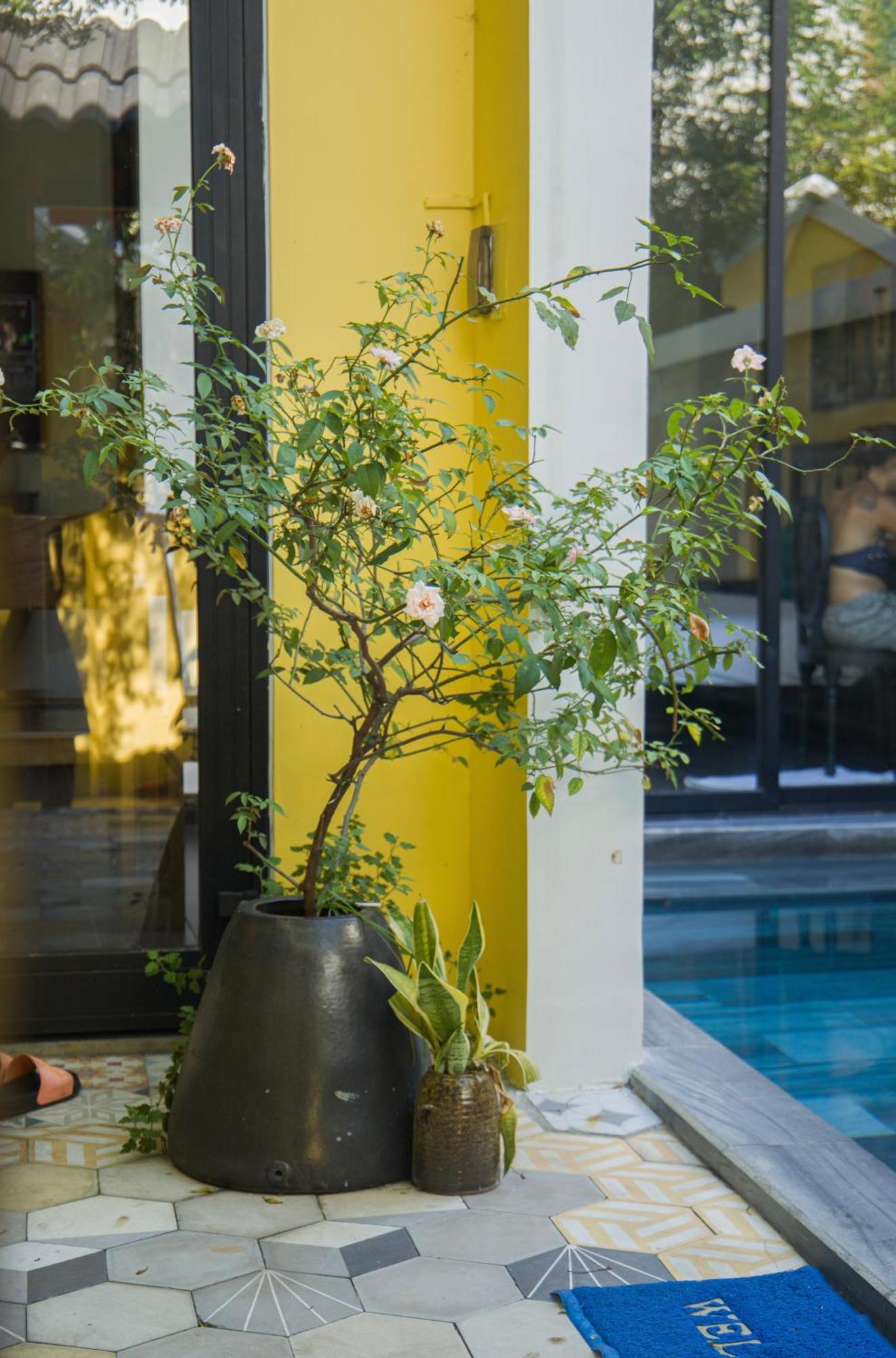 Rosie Villa Hoi An Luaran gambar